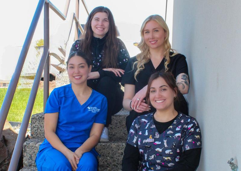 Carousel Slide 7: Meet our Reception Team!