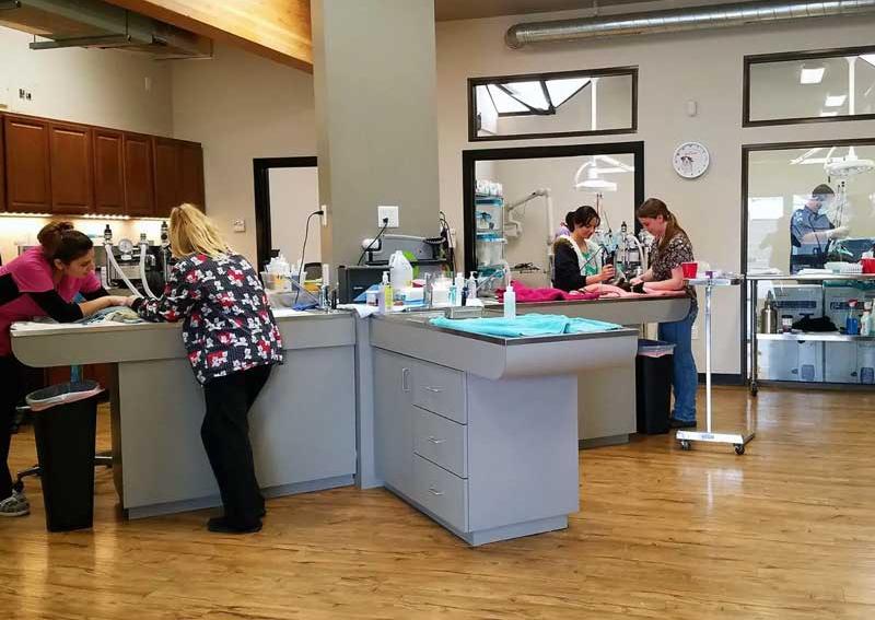 Kennewick Pet Hospital